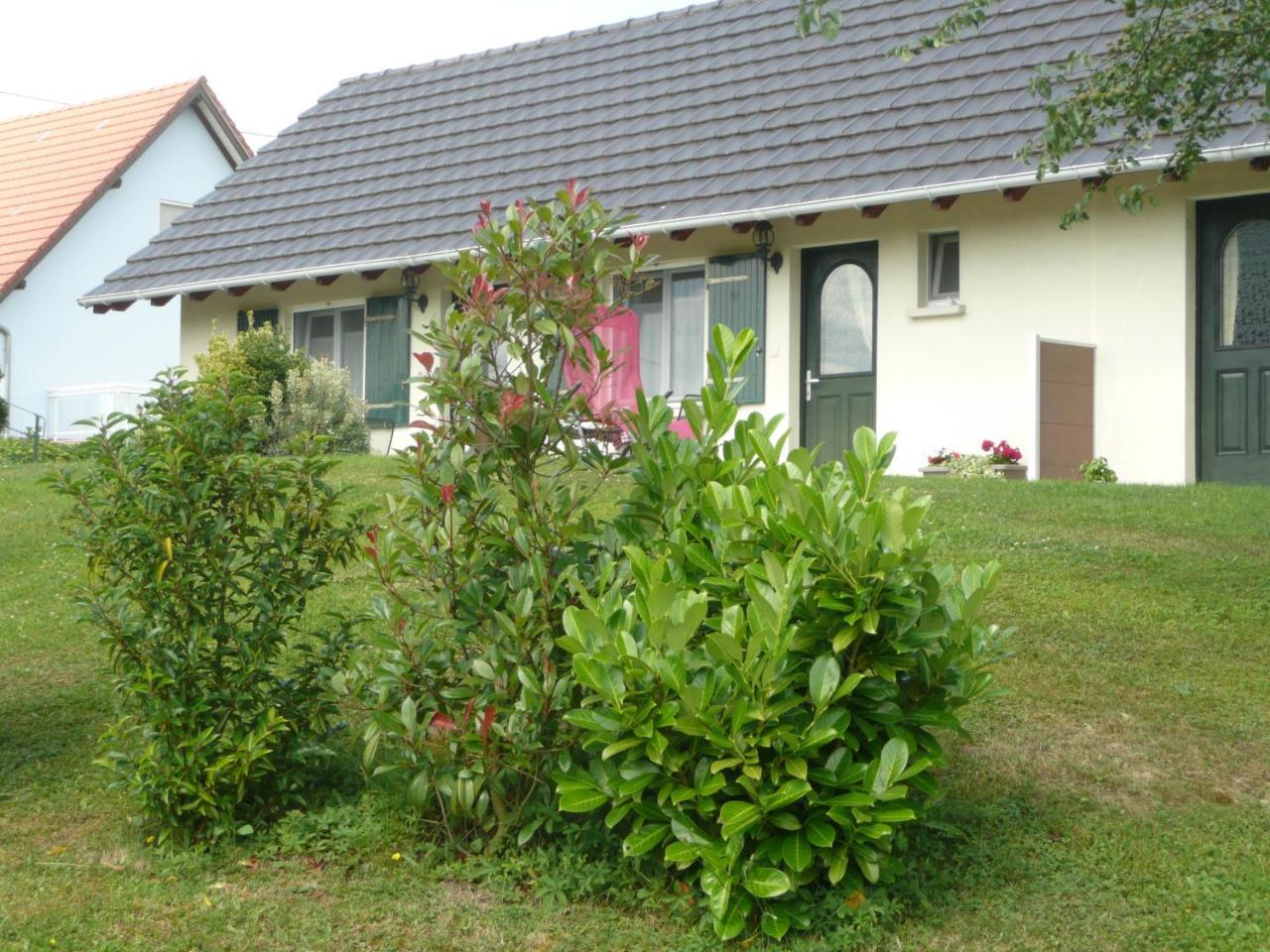 Chez Anny Et Jean Au Mittelbuehl-Reichshoffen B&B 외부 사진