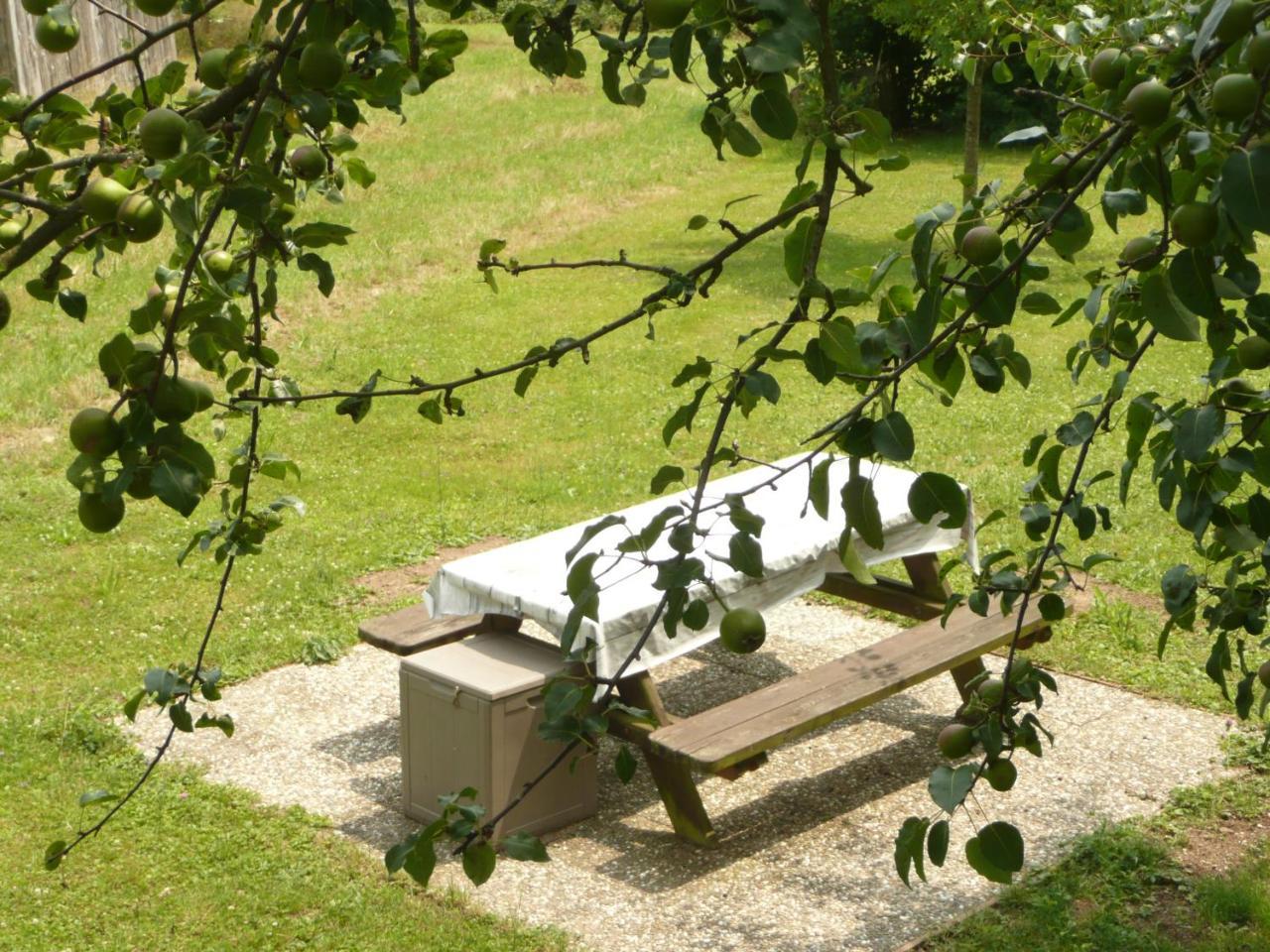 Chez Anny Et Jean Au Mittelbuehl-Reichshoffen B&B 외부 사진